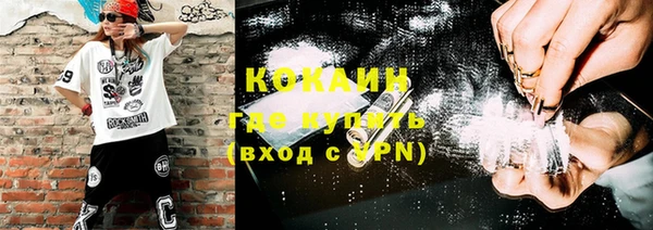 винт Горно-Алтайск